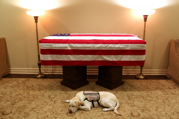 'Misioni Mbaroi'. Foto prekëse, qeni i Bush nuk largohet nga arkivoli