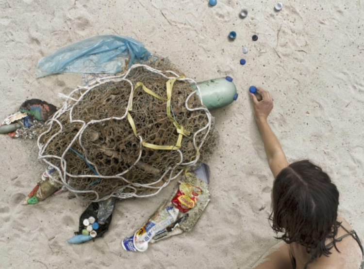 Vepra arti…me mbeturinat e plazhit [FOTO]