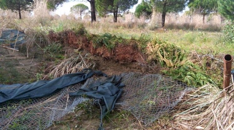 Pasi u rrah, biznesmenit libanez Faadi Mitri i zënë tokën tek Gjiri Lalzit