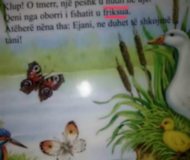 Skandal me librat e fëmijëve, të shkruara në gjuhë dialektore dhe plot gabime [FOTO]