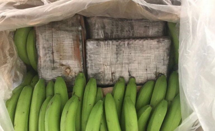 Sërish sasi e madhe kokaine në kuti bananesh, 12 të arrestuar, ka edhe shqiptarë [FOTO]