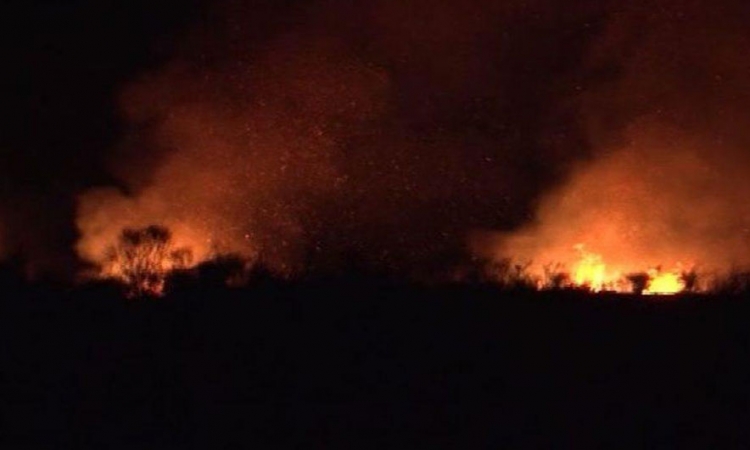 Nisin zjarret në Shqipëri, rrezikojnë banesa në Dhërmi