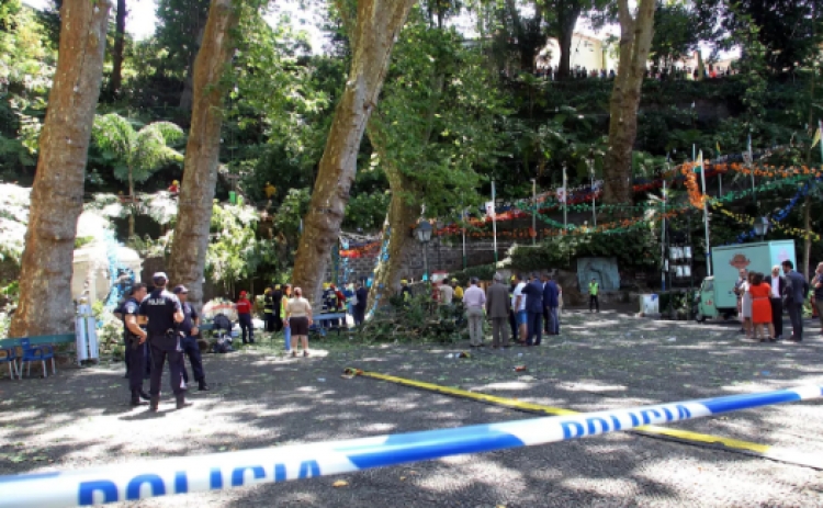 Tragjedi në Portugali/ Rrëzohet pema 200 vjeçare dhe i marr jetën 11 personave