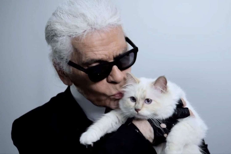 Ndodh e pabesueshmja! Pas vdekjes së Karl Lagerfeld, macja e tij lançon linjën e re