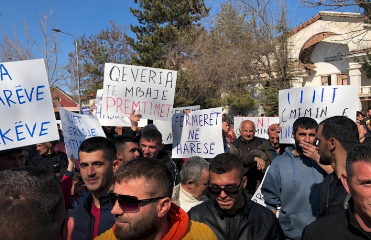 “Rama ik”, demokratët protestë para bashkisë në Maliq [FOTO]