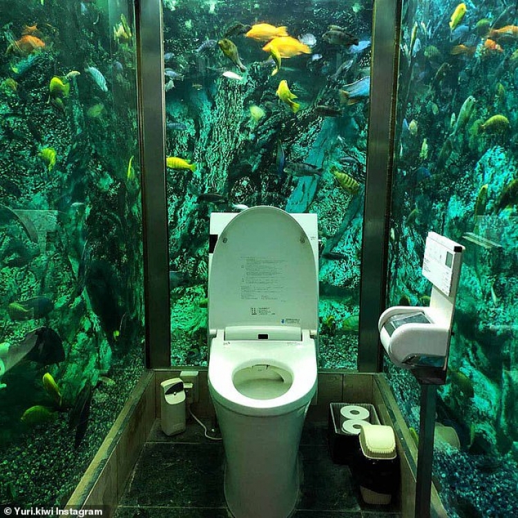 Do guxonit për të hyrë në një tualet rrethuar nga një rezervuar i madh peshqish