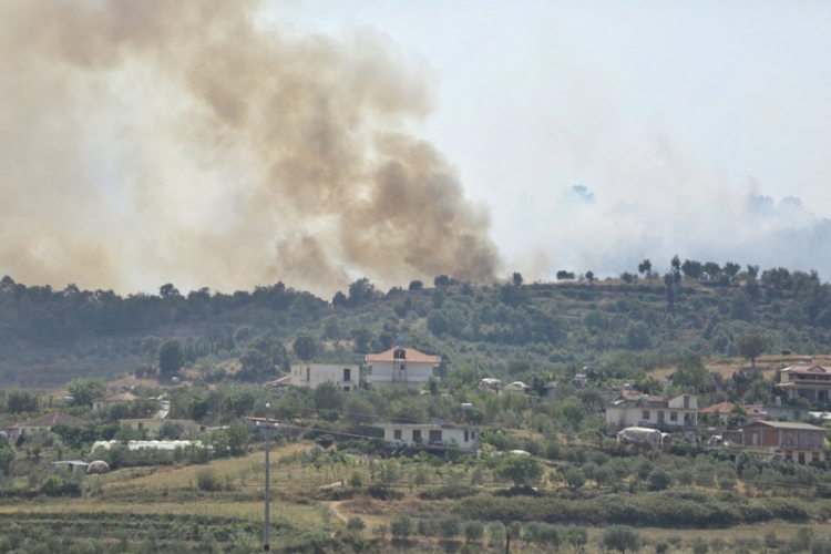Zjarri në Ardenicë, djeg sipërfaqe me ullishte dhe pisha [FOTO]
