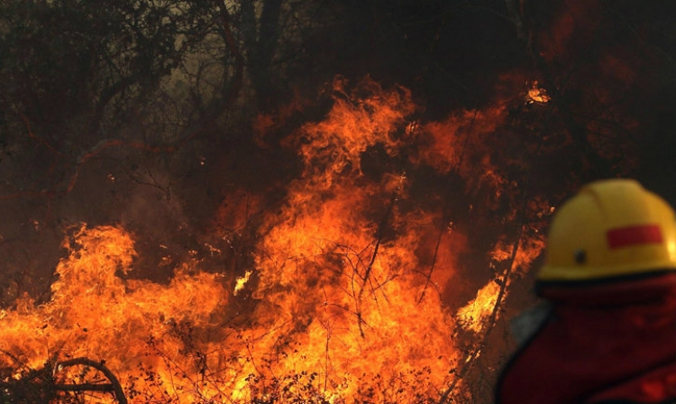 Zjarret në pyjet e Amazonës, s’po fiken dot/ Qeveria nën presion nxjerr ushtrinë