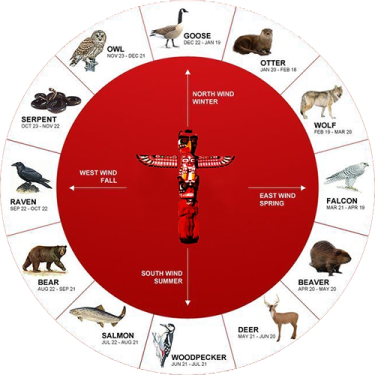 Zbuloni se cila kafshë jeni sipas Shenjave të Astrologjisë Indiane