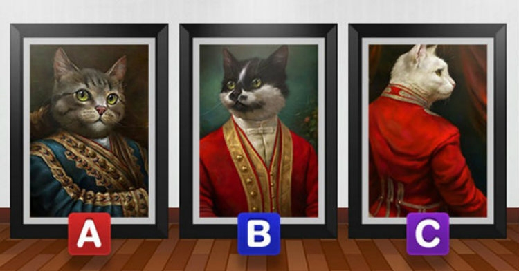 Zgjidh një nga macet në figurë dhe zbulo çfarë lideri je