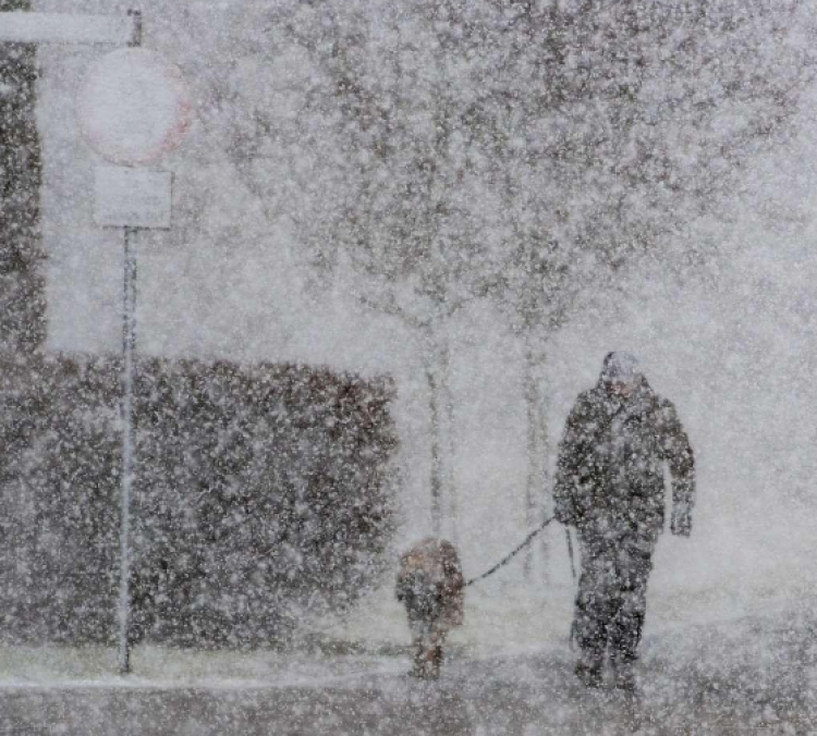 Moti i keq në Evropë, në Holandë njerëzit ‘fluturojnë’ nga era [FOTO]