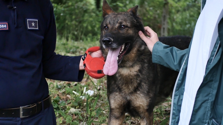 Oficerët e Policisë së Shtetit...me katër putra