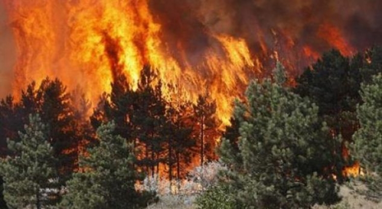 Shqipëria ende në rrezik nga zjarret