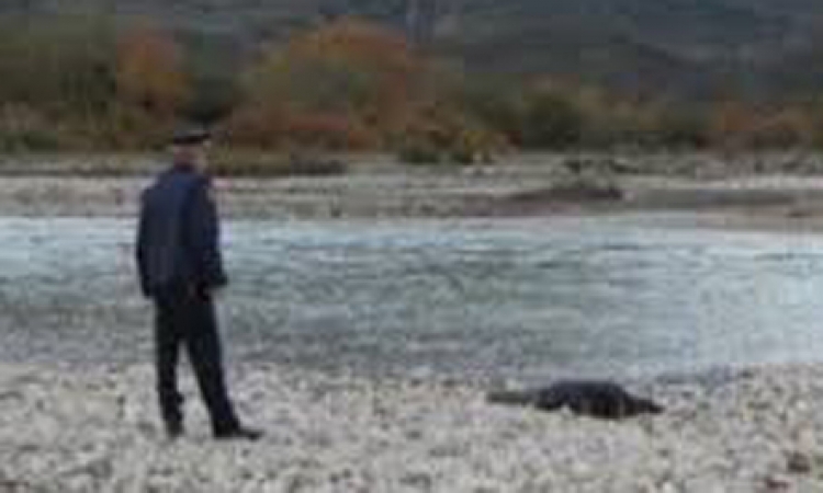 15 ditë i humbur, 40 vjeçari gjendet i vdekur në lumin Devoll