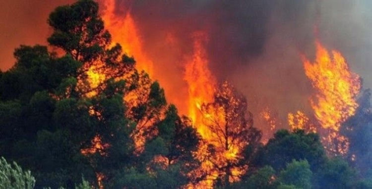 Greqia do të ndihmojë Shqipërinë për shuarjen e zjarreve