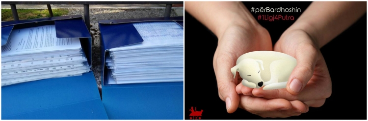 Dorëzohen në Kuvend peticioni me mbi 35 mijë firma për mbrojtjen e kafshëve [FOTO/VIDEO]