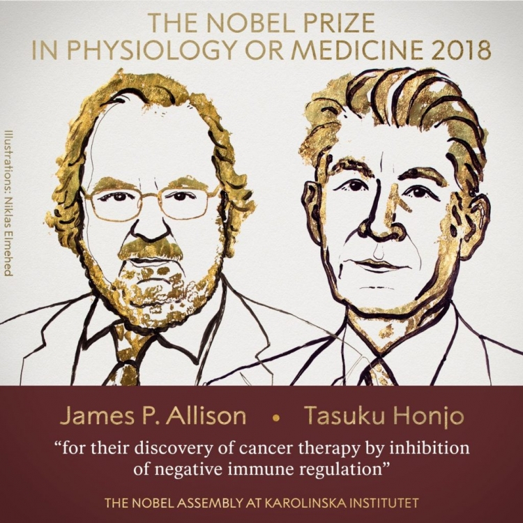 Zbuluan terapinë kundër kancerit, dy mjekët fitojnë çmimin Nobel 2018