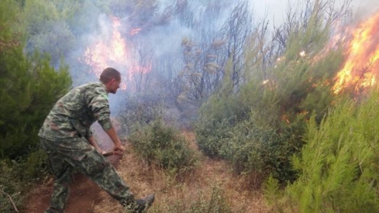 Shuhet zjarri në Pyllin e Semanit pas dy ditëve aksion, shkrumbohen 20 hektarë