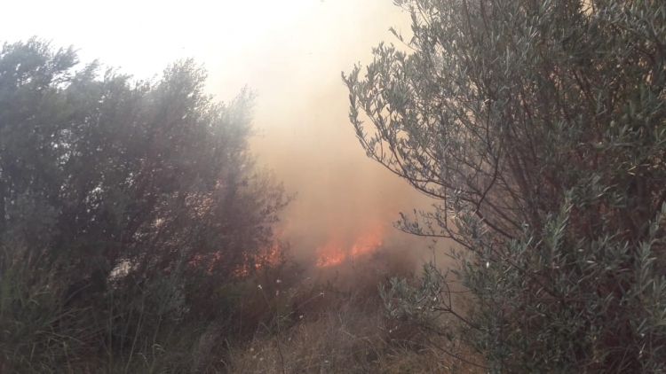 Shqipëria në 'flakë', ushtria ndërhyn për të shuar zjarret