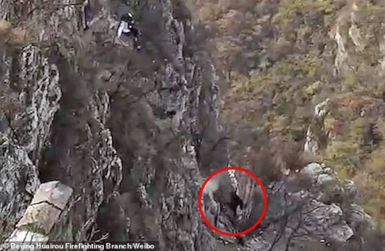 Alpinistja rrëzohet nga shkëmbi, shpëton mrekullisht [VIDEO]