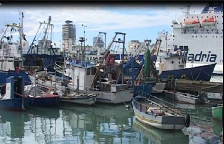 Kaos në Durrës 70 anije peshkimi nuk nisin punën