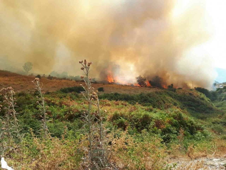 Situata e zjarreve vijon të jetë kritike, vetëm në 24 orët e fundit regjistrohen 8 vatra të reja