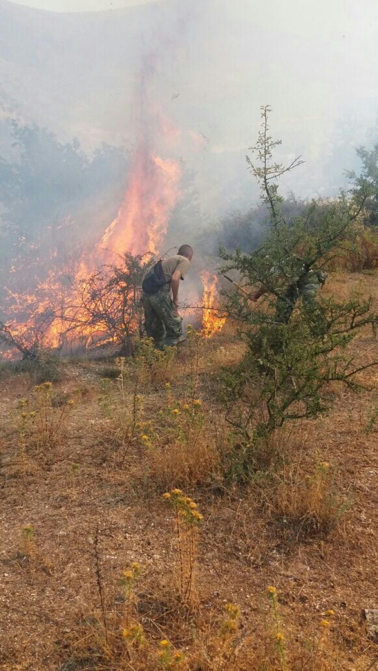 Lezha përfshihet nga flakët, rrezikohet i gjithë fshati Bërzanë