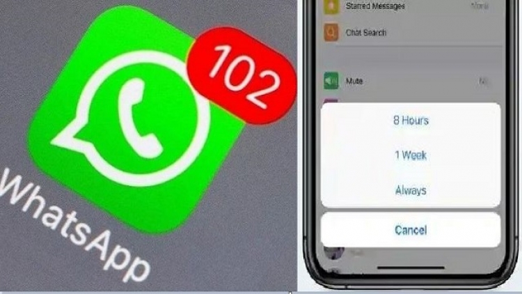 WhatsApp  gati të sjellë opsionin që me siguri do t’ju pëlqejë të gjithëve!