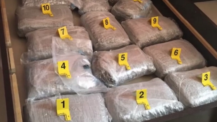 Sekuestrohen 31kg kanabis në Elbasan, arrestohen 3 persona