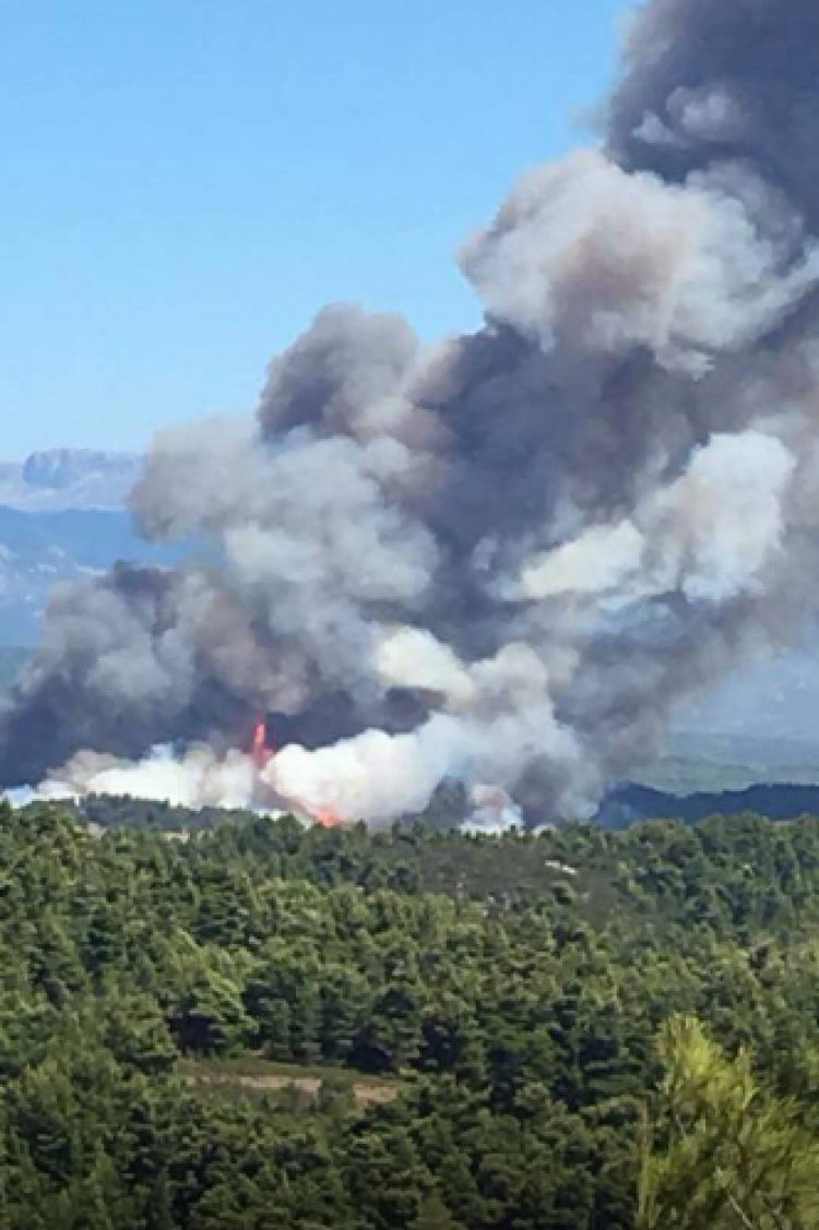 Zjarret nuk i ndahen Greqisë. Në flakë ishulli Evia, evakuohen banorët [VIDEO]