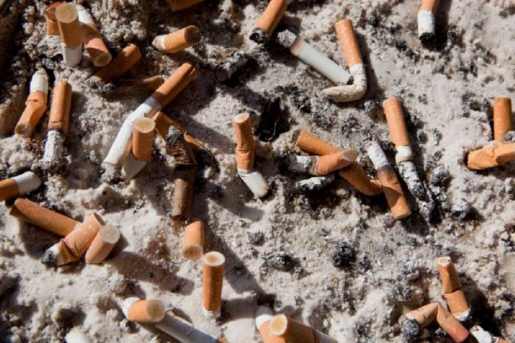 Nisma e re e Bashkisë së Tiranës, kosha të posaçëm për hedhjen e bishtave të cigareve