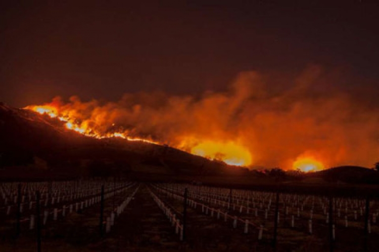 Zjarret alarmojnë Kaliforninë, evakuohen 200 mijë persona