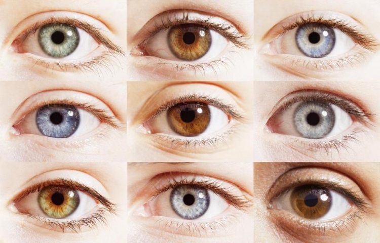 Habit rezultati shkencor për ngjyrën e vërtetë të syve tanë