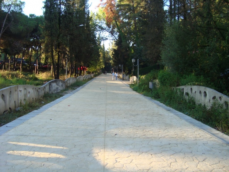 Makabër, gjendet një i varur në pemë