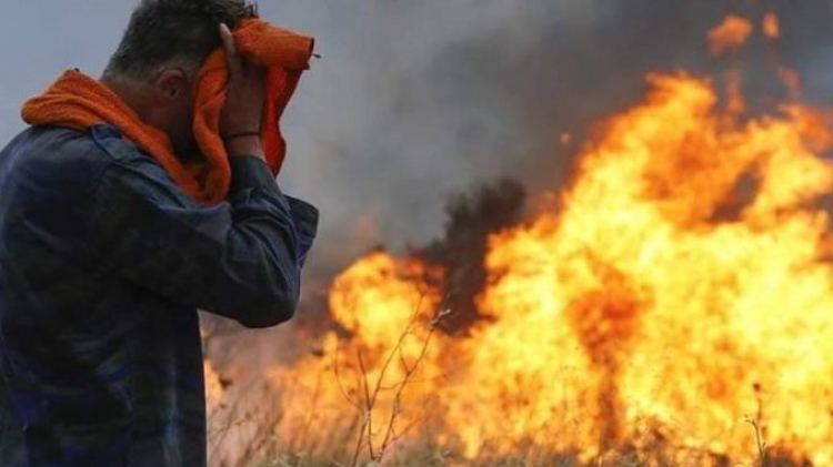 Thellohet bilanci i viktimave nga zjarri në Greqi, shkon në 83 numri i të vdekurve, qindra të zhdukur