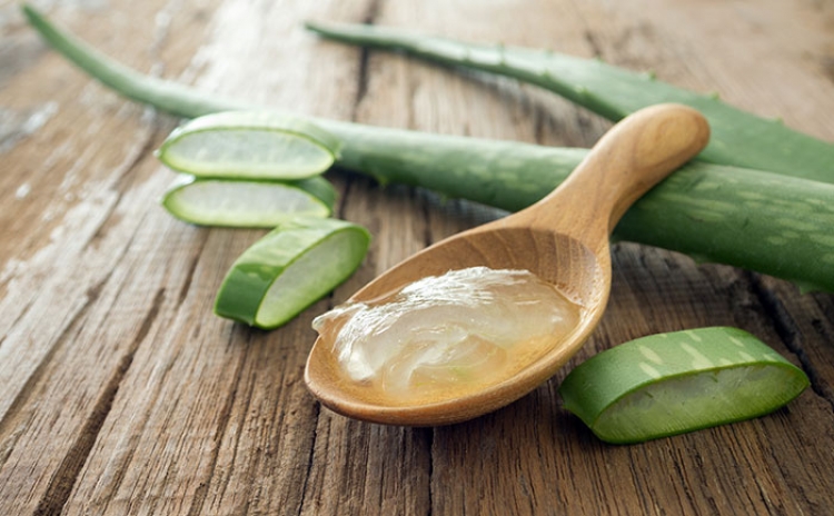 Aloe Vera, bima magjike / Kuron disa sëmundje