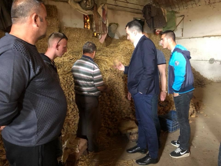 Qindra ton patate, qepë, kalben në Korçë, deputeti Salianji jep alarmin: Fermerët po falimentojnë