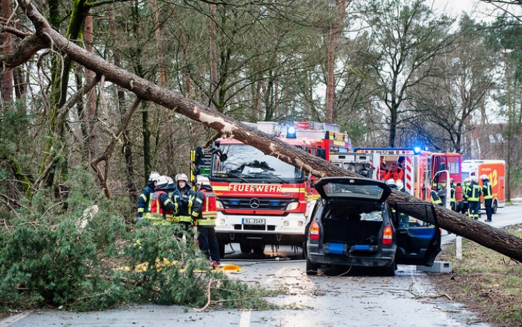 Stuhia “Friederike” trondit Europën, shkakton 11 të vdekur. Mot i keq edhe në SHBA[VIDEO]
