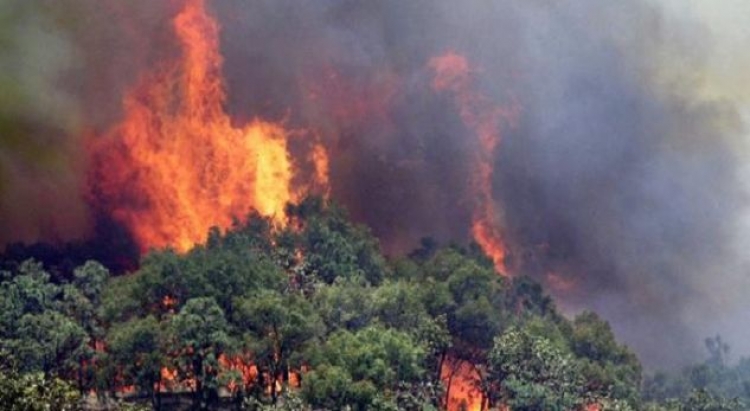 Shqipëria përfshihet në flakë, zjarret në Shëngjin i afrohen banesave [FOTO]