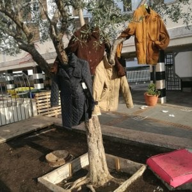 Pemët në Gjenova, mbushen me veshje për të ndihmuar njerëzit e pastrehë