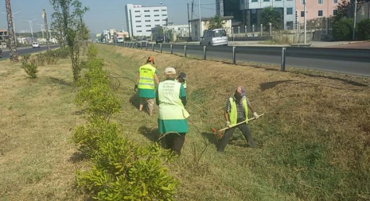 Bashkia e Tiranës aksion pastrimi për mbeturinat në autostradë dhe rrugën e Rinasit [FOTO]