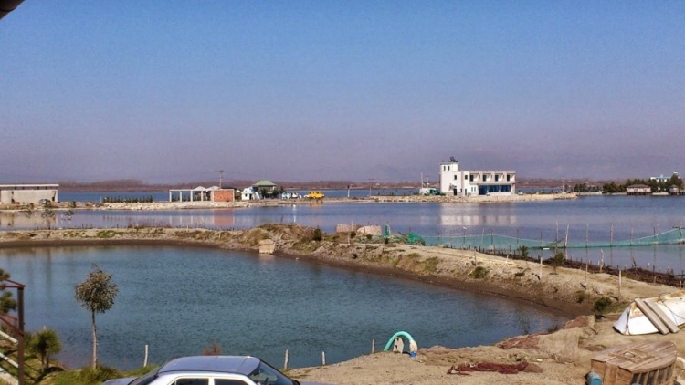 Rikthehen maskat më armë, 2 persona i kanë grabitur 5 milionë lekë të vjetra pronarit të një biznesi në Patok të Kurbinit