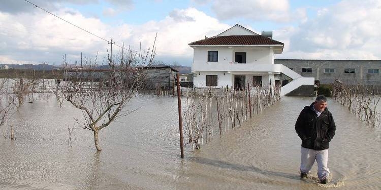 Fushë-Krujë, po pastronte shtëpinë nga përmbytjet pickohet nga gjarpri